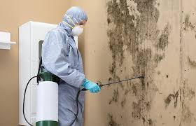 Best Mold Documentation for Insurance Claims  in Ligonier, IN